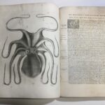 Un livre sur les poissons imprimé à Rome en 1554 découvert par des chercheurs.
