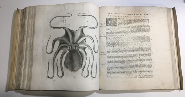 Un livre sur les poissons imprimé à Rome en 1554 découvert par des chercheurs.