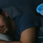 Des chercheurs identifient un circuit de sommeil profond qui favorise la musculature et la combustion des graisses.