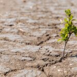 Dix villes où la qualité de vie pourrait être préservée face au réchauffement climatique.
