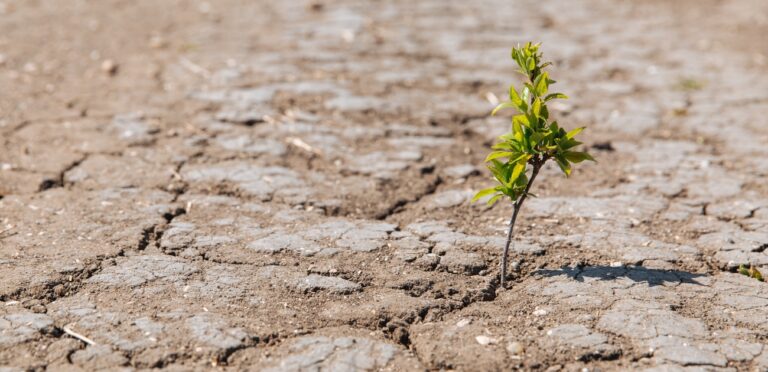 Dix villes où la qualité de vie pourrait être préservée face au réchauffement climatique.