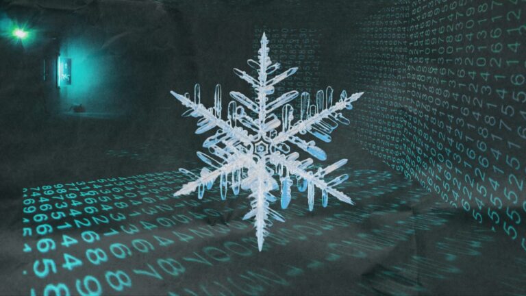 Campagne cybercriminelle Snow : fonctionnement et acteurs impliqués dans l’attaque.