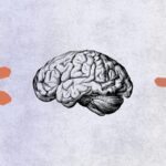 Anthropic présente J-Space pour analyser les pensées de Claude et identifier les IA malveillantes.