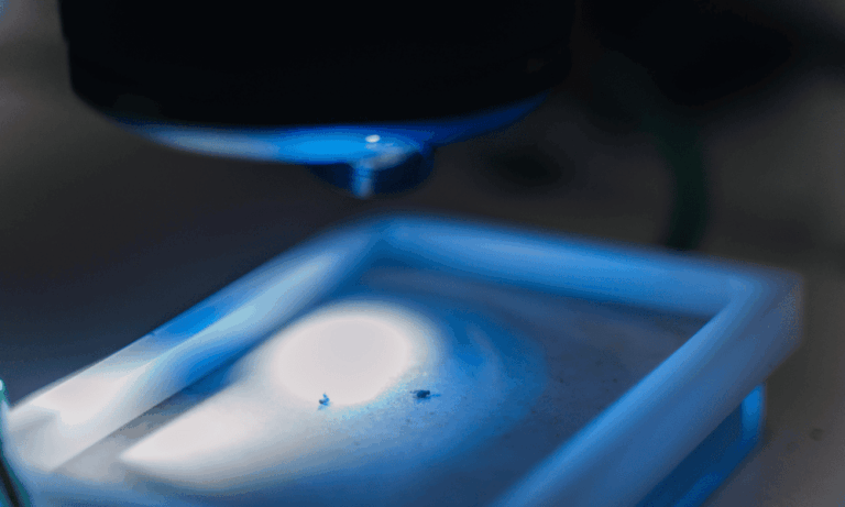 Maladie d’Alzheimer : un isoforme de BIN1 identifié comme toxique pour les neurones.