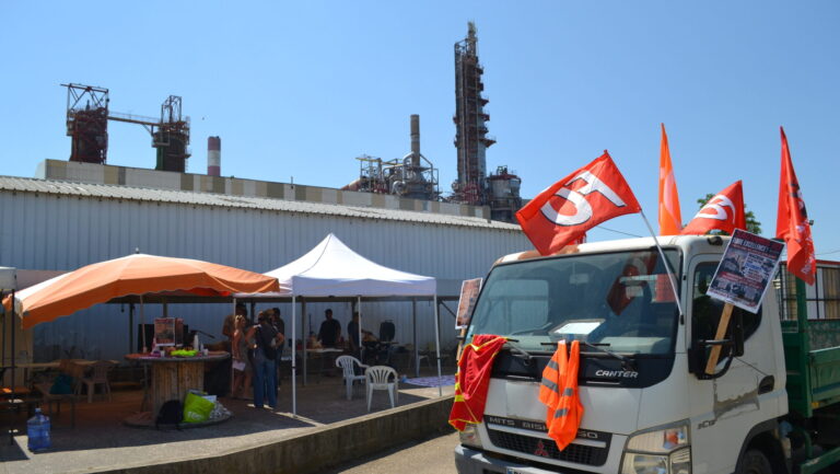 Fibre Excellence liquidée à Tarascon : conséquences économiques et sociales significatives.
