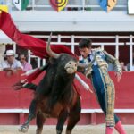 Feria de Lunel : El Rafi et « Malasombra » de Pagès-Mailhan en corrida française