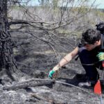 Incendie en Gironde : avancées des enquêtes judiciaires sur le chantier de débroussaillage