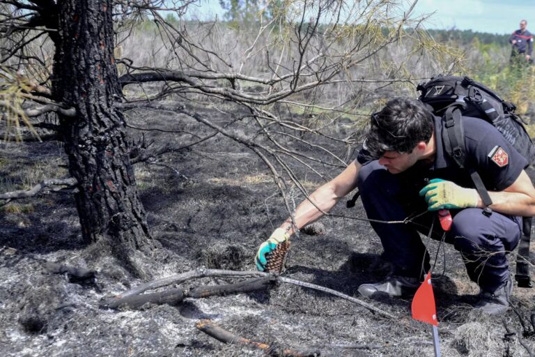Incendie en Gironde : avancées des enquêtes judiciaires sur le chantier de débroussaillage