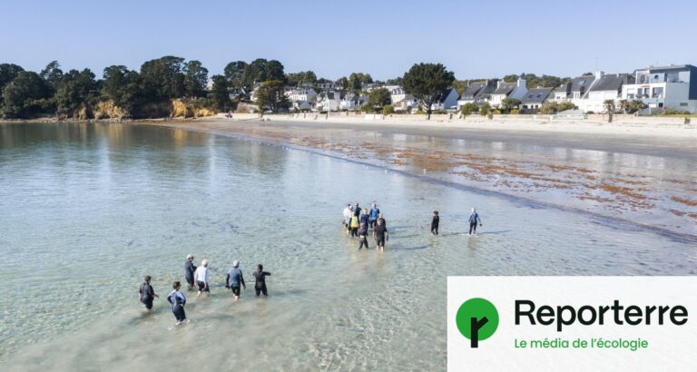 Quartiers populaires du Finistère privés d’accès aux plages en raison de restrictions locales