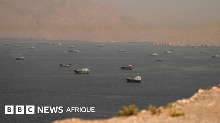 Tensions croissantes entre les Etats-Unis et l’Iran à Détroit d’Ormuz : analyse des causes.