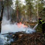 Incendies de Fontainebleau : la situation est désormais stabilisée selon les autorités.