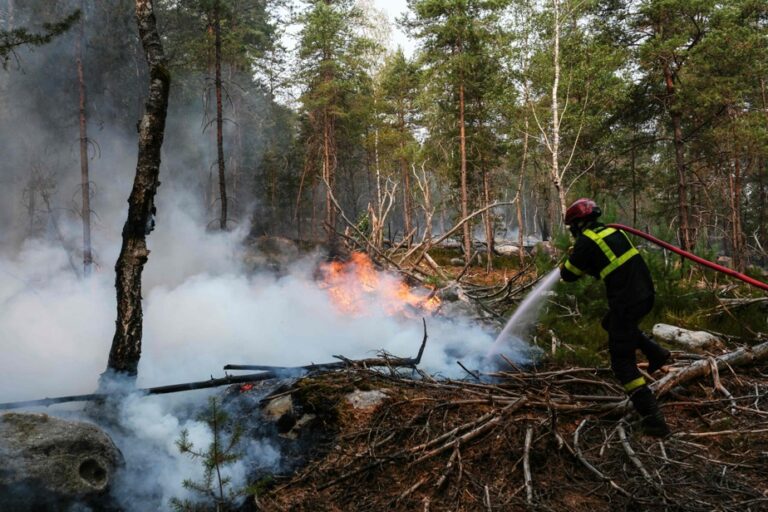 Incendies de Fontainebleau : la situation est désormais stabilisée selon les autorités.