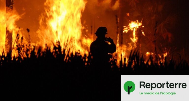 Le risque d’incendie en Europe a doublé en quatre décennies selon des experts.