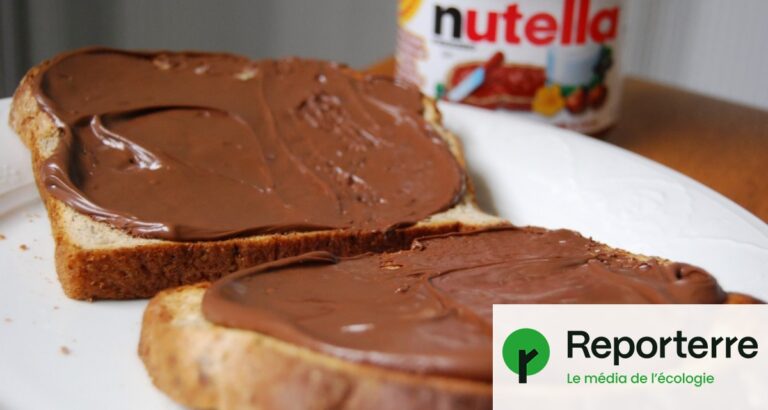 Des traces d’acétamipride détectées dans le Nutella et des miels importés en Europe.