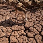 Au Maroc, des usines de désalinisation peinent à résoudre la crise de l&rsquo;eau.