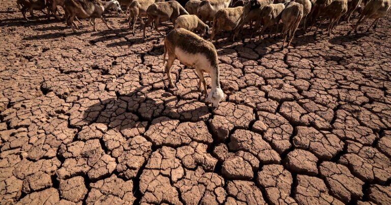 Au Maroc, des usines de désalinisation peinent à résoudre la crise de l’eau.