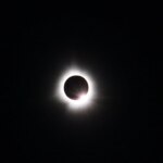 Éclipse solaire en Espagne : conséquences sur le comportement animal en plein jour