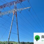En Camargue, des lignes à haute tension exemptées d’évaluation environnementale.