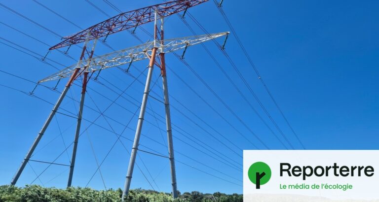En Camargue, des lignes à haute tension exemptées d’évaluation environnementale.