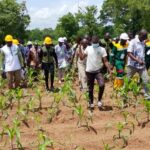 Lancement du projet agro-industriel Faso ZOM : 200 hectares en phase pilote pour la souveraineté alimentaire.
