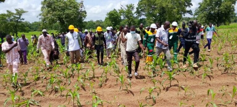 Lancement du projet agro-industriel Faso ZOM : 200 hectares en phase pilote pour la souveraineté alimentaire.