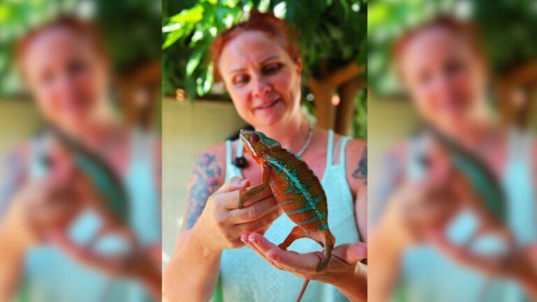 Émilie élève des reptiles pour favoriser son bien-être à domicile avec Pumkin et Papaye.