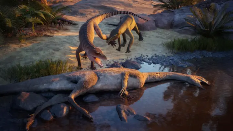 Un fossile oublié révèle un prédateur du Trias, selon des chercheurs américains.