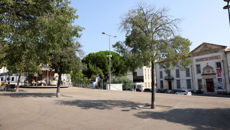 Patrick de Carolis annonce un plan de végétalisation pour la ville d’Arles.
