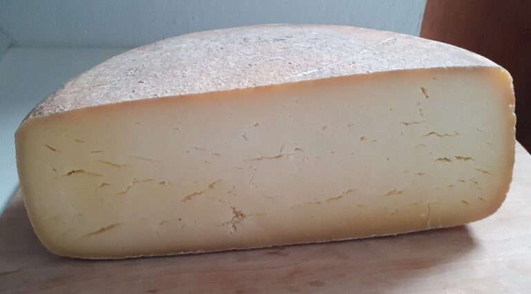 fromage à pâte pressée cuite de vache