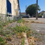 Alençon : une riveraine dénonce l’accumulation de déchets et d’herbes folles dans sa rue.