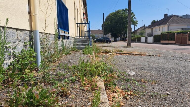 Alençon : une riveraine dénonce l’accumulation de déchets et d’herbes folles dans sa rue.