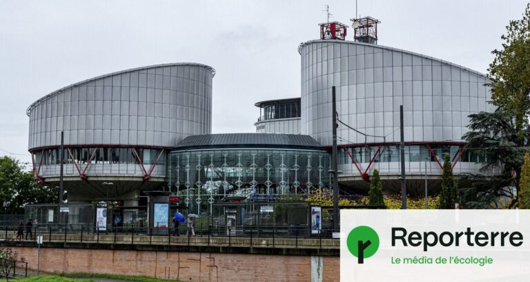 La Suisse condamnée pour avoir omis de fournir des repas véganes en prison.