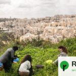 « Reconstruction du musée d’histoire naturelle de Palestine comme acte de résistance »