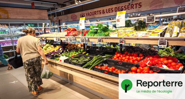 Canicule : hausse des températures et des prix des crudités en France