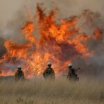 Alerte rouge : Feux de forêt aggravés par le climatoscepticisme mondial.