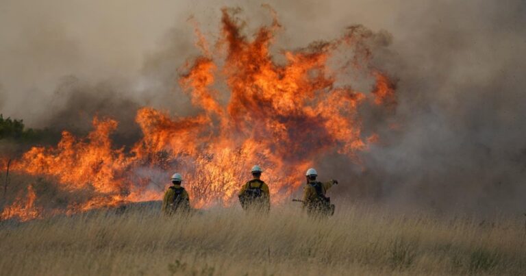 Alerte rouge : Feux de forêt aggravés par le climatoscepticisme mondial.