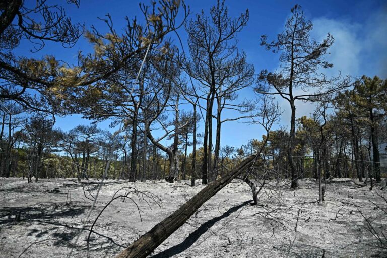 Hérault : un homme placé en garde à vue pour neuf départs de feu suspectés