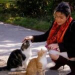 Collecte de croquettes et litières pour L’Oasis du Phénix à Mallemort