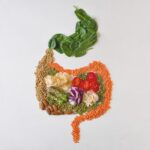 Fibres alimentaires : des études révèlent leur rôle essentiel dans la digestion humaine.