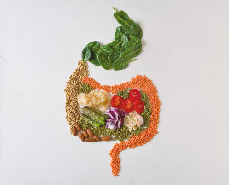 Fibres alimentaires : des études révèlent leur rôle essentiel dans la digestion humaine.