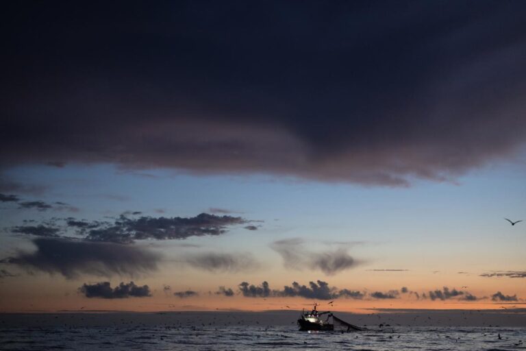 Les océans mondiaux enregistrent un pic de chaleur, selon des scientifiques marins.