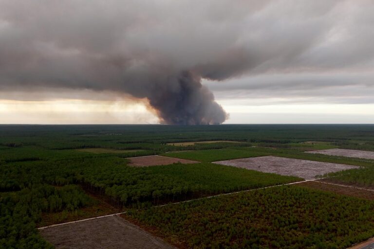 Gironde : 1.400 hectares brûlés, évacuations massives de la population en cours