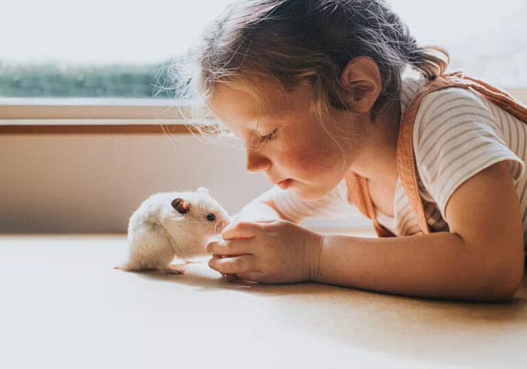 Un nouveau prénom féminin fusionne deux prénoms traditionnels en France.
