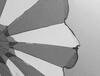 Design éthique : la déconnexion favorisée par des initiatives en France.