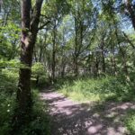 Accès restreints dans une partie de la forêt domaniale d’Orléans en raison du risque incendie