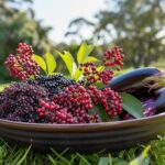 Liste des fruits commençant par E : découverte des variétés peu connues en agriculture.
