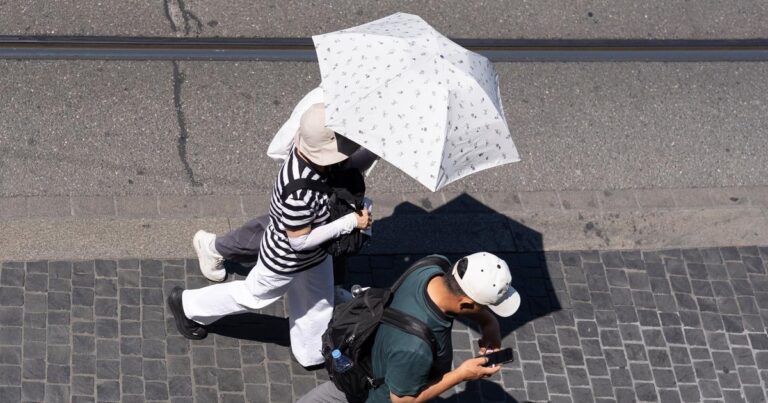 Canicule en Suisse : la chaleur persistante menace les forêts nationales.