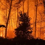 Gironde : les pompiers suisses sécurisent un parc photovoltaïque contre les incendies.