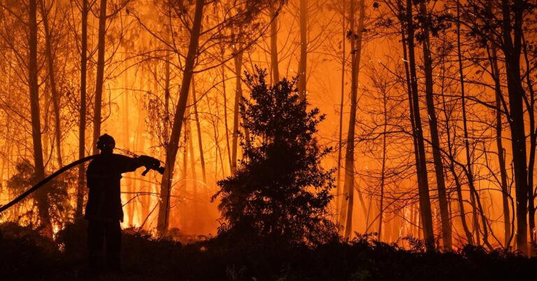 Gironde : les pompiers suisses sécurisent un parc photovoltaïque contre les incendies.