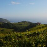 Txakoli de Getaria : un vignoble espagnol face à l&rsquo;océan Atlantique.